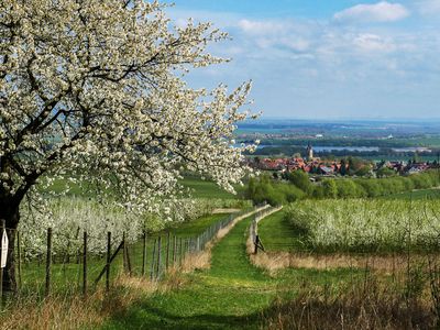 Blick auf Großfahner und den Speicher in Dachwig in der Region Gotha & Gothaer Land, im Vordergrund blühende Apfelbäume
