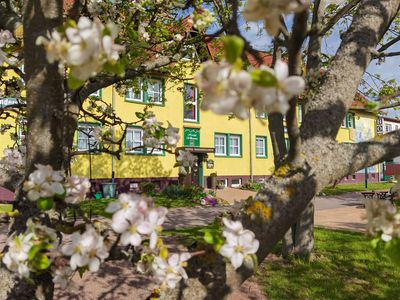 Außenansicht Hotel Wandersleben mit Apfelblüten im Vordergrund, Thüringen, UNESCO Global Geopark Thüringen Inselsberg – Drei Gleichen