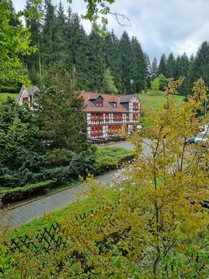 Außenansicht Landhaus Machold mit Wald in Friedrichroda (Inselsbergregion) nahe dem Rennsteig