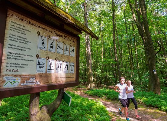 Trimm-Dich-Pfad am Ahorn Berghotel Friedrichroda in der Inselsbergregion im Thüringer Wald