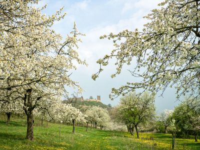 Die Burg Gleichen in Wandersleben mit Apfelblüten in der Region Thüringer Burgenland Drei Gleichen / UNESCO Global Geopark Thüringen Inselsberg – Drei Gleichen