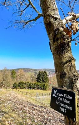 Die Luther-Eiche am Kandelaber in Georgenthal / OT Altenbergen (Talsperrenregion)
