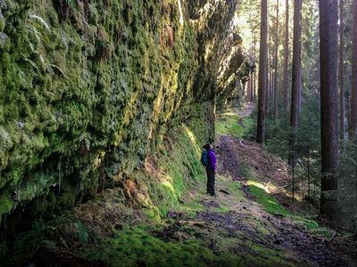 Wanderin im Marderbachgrund in Tambach-Dietharz in der Talsperrenregion