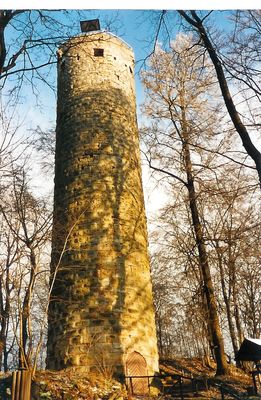 Wallenburger Turm in Trusetal