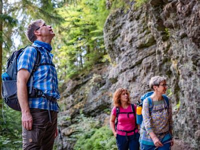 Wanderung zum Marderbachgrund und Hülloch in Tambach-Dietharz (Talsperrenregion)