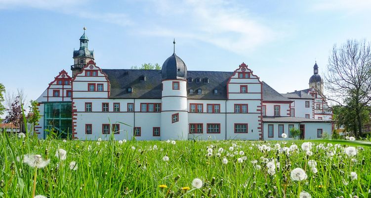 Schloss Ehrensteinn Ohrdruf (Talsperrenregion) mit Pusteblumen und grüner Wiese im Vordergrund
