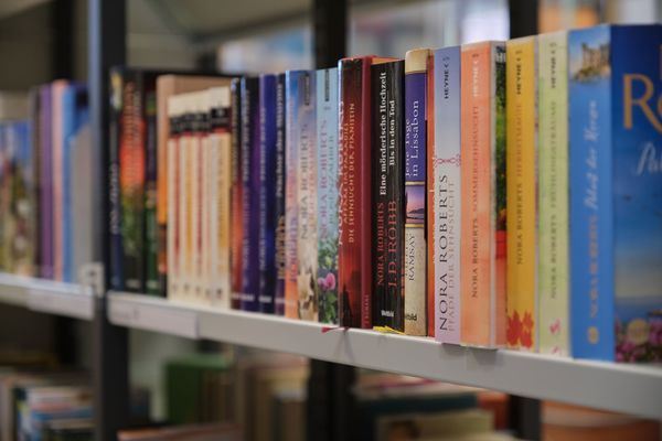 Bücher in der Bibliothek von Schloss Ehrenstein in Ohrdruf (Talsperrenregion)