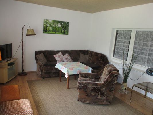 Wohnzimmer mit Sofa und TV im Ferienhaus Best in Friedrichroda (Thüringer Wald in der Inselsbergregion)
