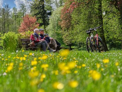 Zwei Fahrradfahrer im Kurpark in Georgenthal (Talsperrenregion) auf Sommerwiese mit vielen gelben Blumen, UNESCO Global Geopark Thüringen Inselsberg – Drei Gleichen