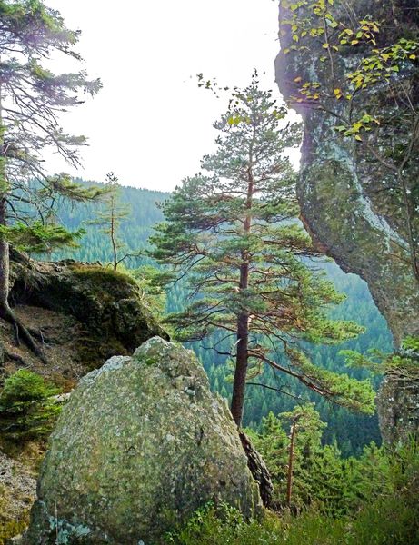 Ohrdruf Tourismus Th ringer Wald