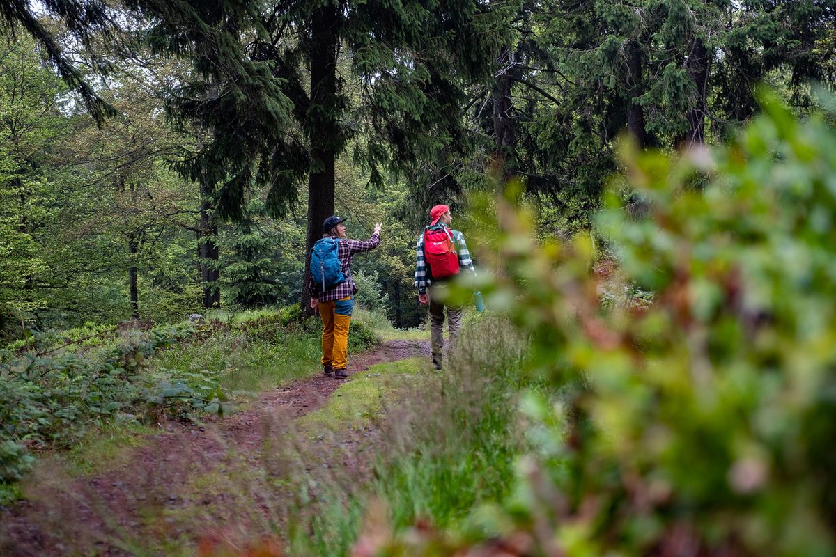 Bad Tabarz - Tourismus Thüringer Wald