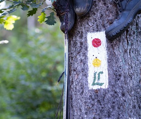 Lutherweg in der Inselsbergregion im Thüringer Wald