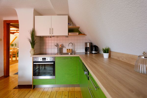 Große und moderne, grüne Küche in der Fewo in der Pension "Maria Am Schlosspark" in Gotha / Pension "Maria Am Schlosspark"