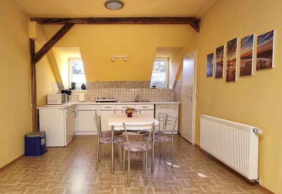 Küche in einer Ferienwohnung der Gaststätte und Pension Felsenthal Bad Tabarz (Inselsbergregion)