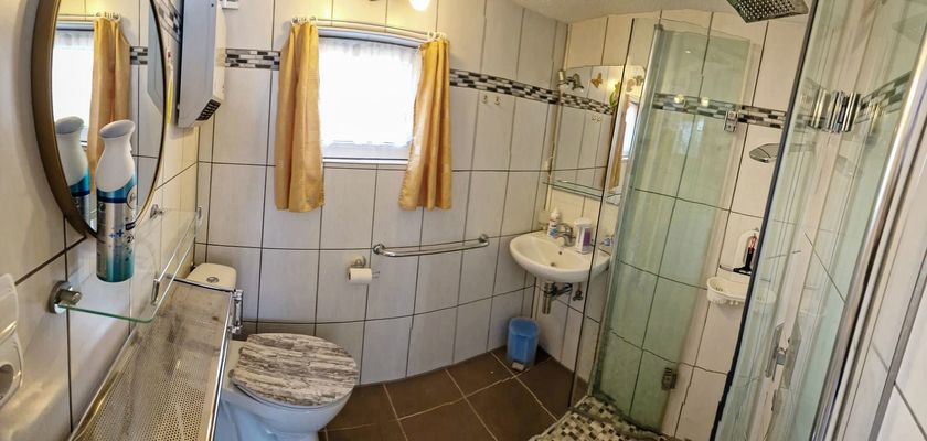 Badezimmer mit Dusche und WC im Ferienhaus "Roseneck" in Bad Tabarz (Inselsbergregion)