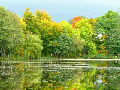 Unterwegs in der Talsperrenregion auf dem Gertrud-Zetzmann-Naturlehrpfad, Rasenteich im Herbst Ohrdruf