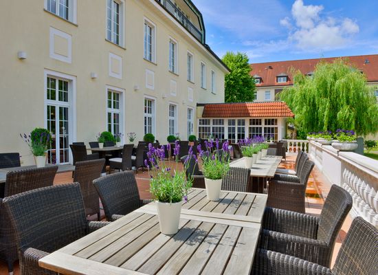 Terrasse am Hotel Der Lindenhof in Gotha (Gotha & Gothaer Land) im Sommer mit Lavendelpflanzen auf dem Tisch