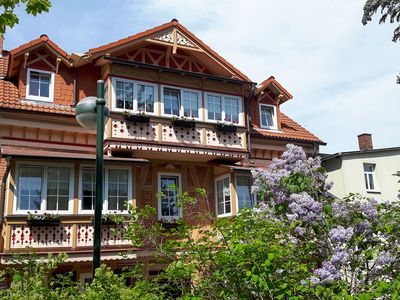 Fachwerkhaus in dem das Hotel Villa Phönix in Friedrichroda liegt, mit blühendem Fliederbusch in lila