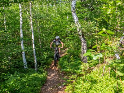 Mountainbiker im Sommer auf Single Trail in Bad Tabarz in der Inselsbergregion im UNESCO Global Geopark Thüringen Inselsberg – Drei Gleichen