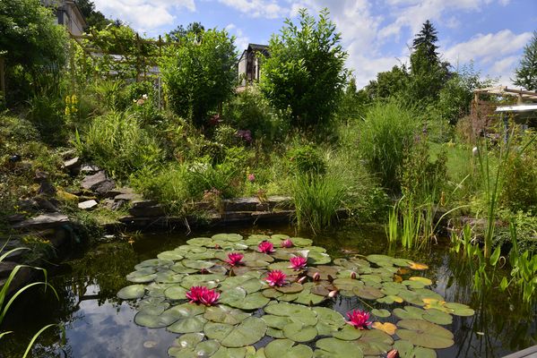 Villa Regina Gartenteich Ansicht