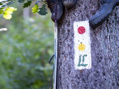 Lutherweg in der Inselsbergregion im Thüringer Wald