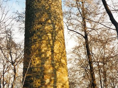 Wallenburger Turm in Trusetal