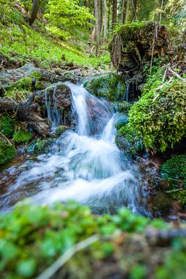 Der Marderbach im Marderbachgrund in Tambach-Dietharz (Talsperrenregion) im Thüringer Wald / UNESCO Global Geopark Thüringen Inselsberg – Drei Gleichen
