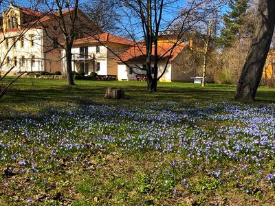 Großer Garten mit Blumenwiese an der Ferienwohnung  „Am Hofjägerhaus“  in Gotha