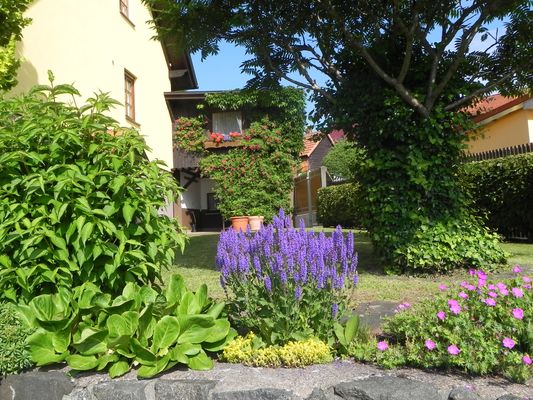 am-hoeg-ferienwohung-garten